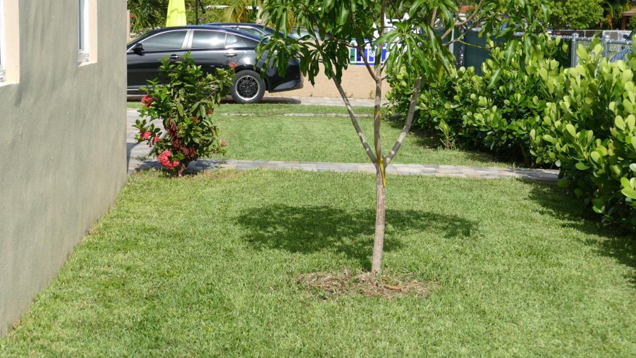 Miami-Airport Oasis Vip Houseヴィラ エクステリア 写真