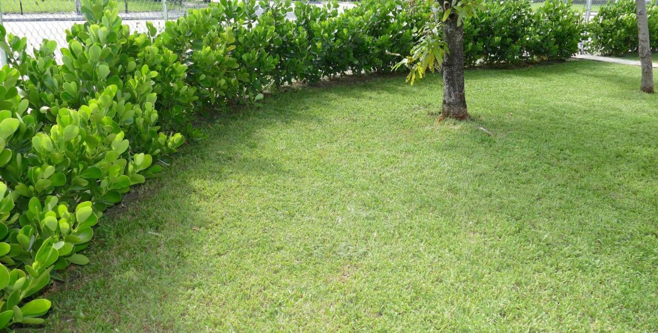 Miami-Airport Oasis Vip Houseヴィラ エクステリア 写真